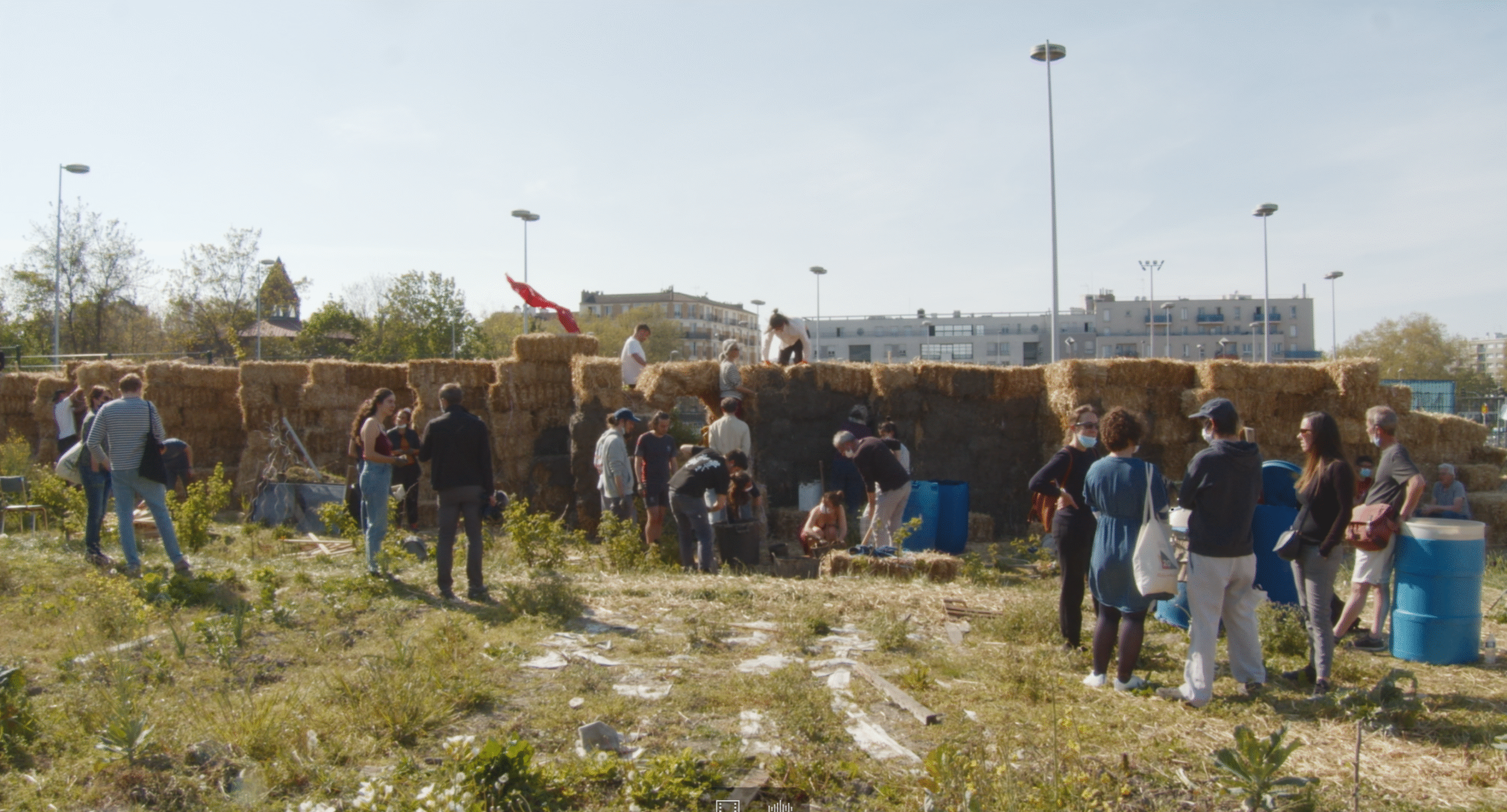 LA TERRE DES VERTUS