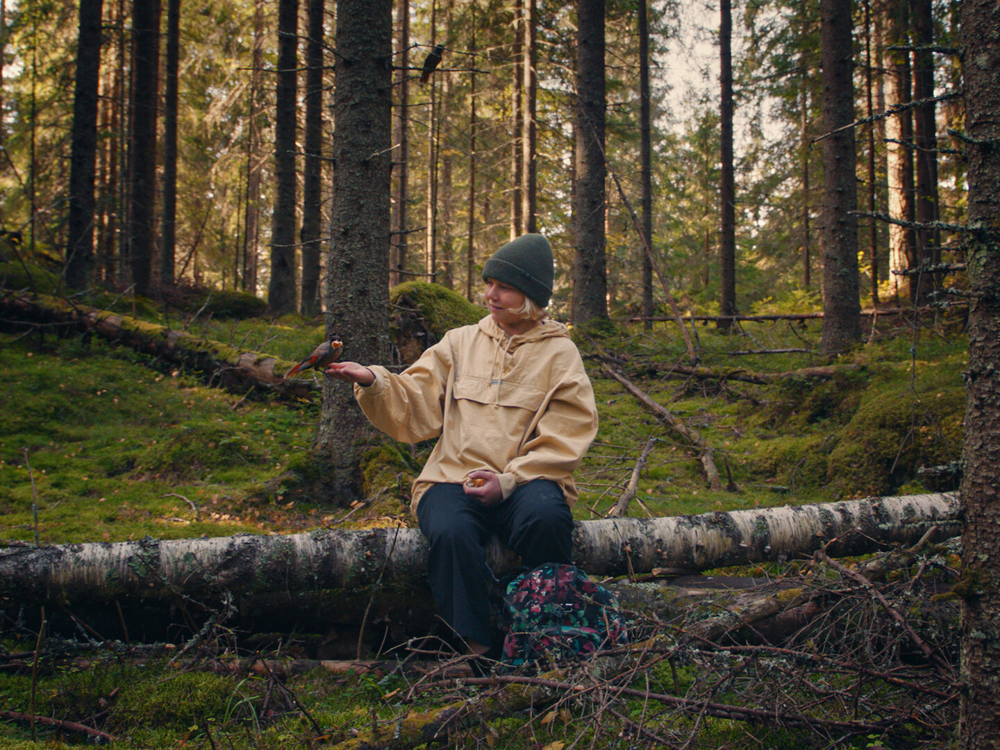 Once upon a time in a forest