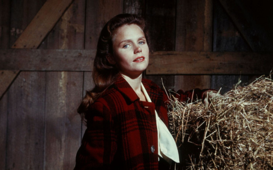 LE FLEUVE SAUVAGE D'ELIA KAZAN
